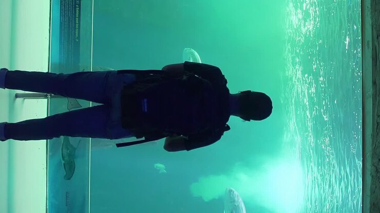 Silhouette of a man with a backpack in front of a blue aquarium through which fish pass