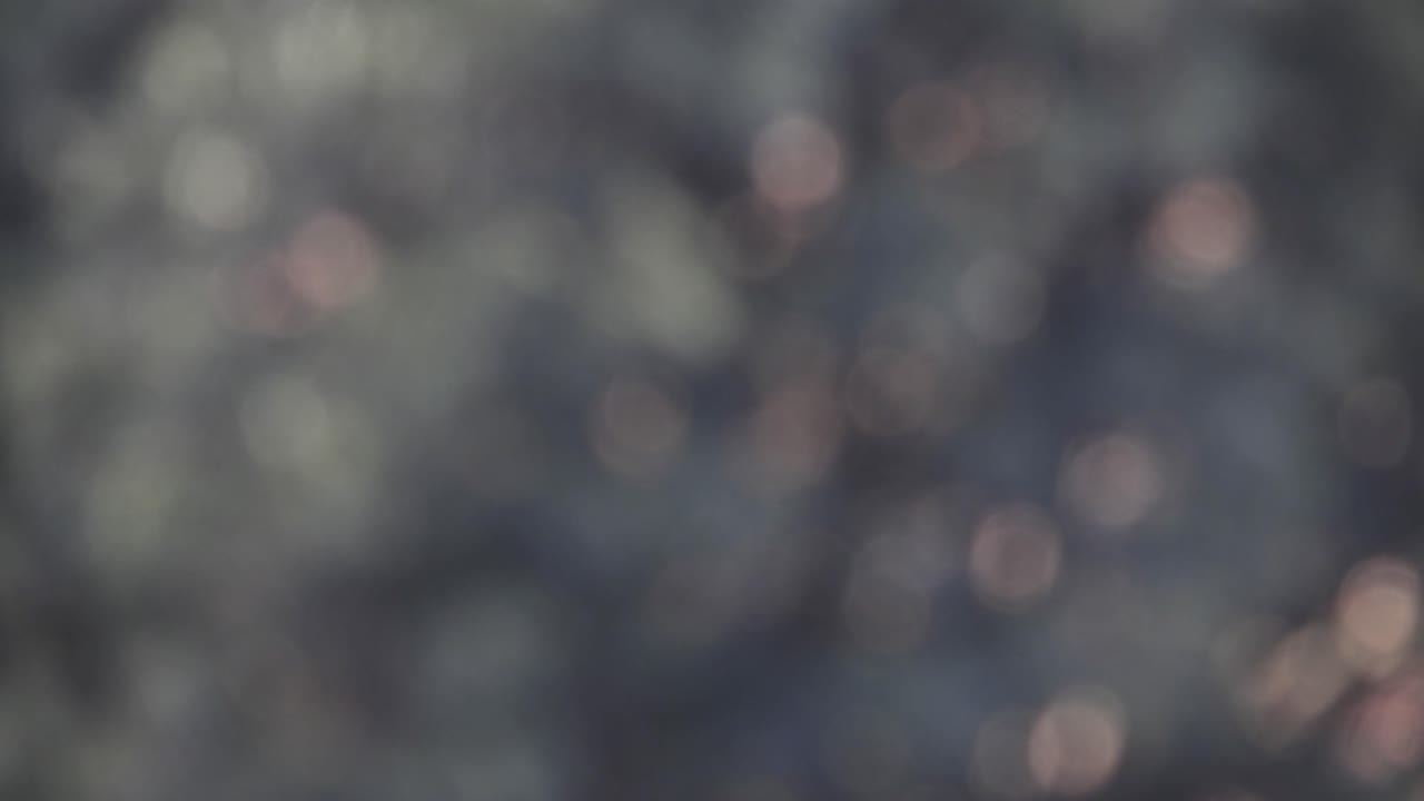 Bokeh blur tree leaves swaying and moving in the wind, light flicker rays simple moving background