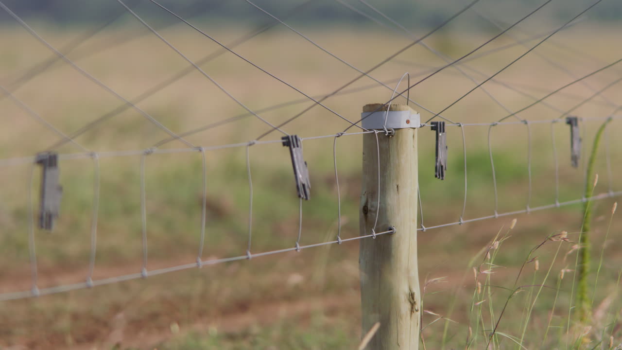 Close-up of a Wooden Fence Post and Wire Fence in a Rural Field