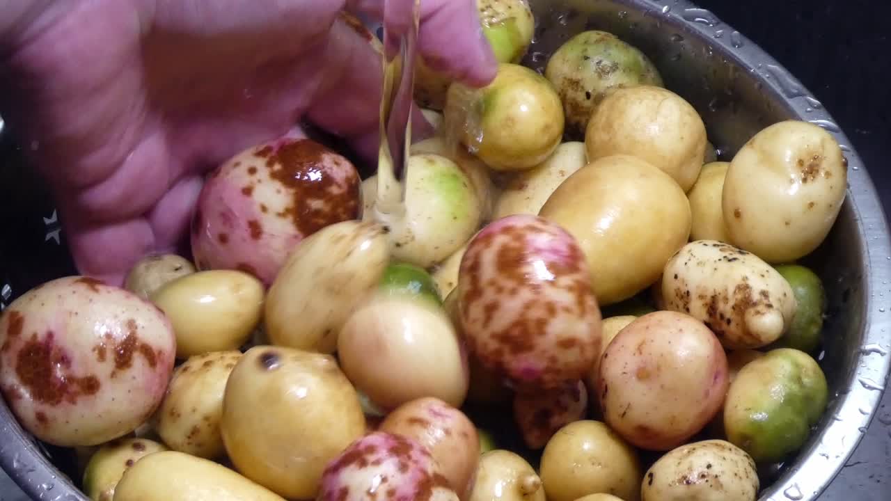 Lavaggio di un assortimento misto colorato di patate casalinghe in uno scolapasta da cucina argentato