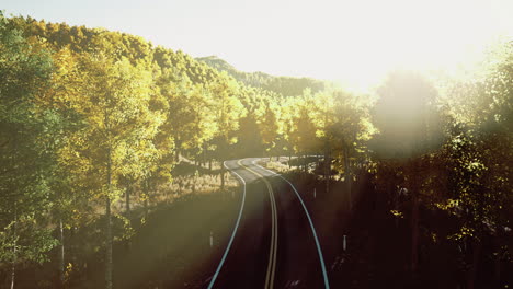 scenic road winding through vibrant autumn foliage at golden hour