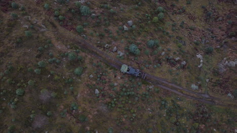 vista de pájaro del tractor trabajando en una plantación de árboles de navidad - toma aérea de drones