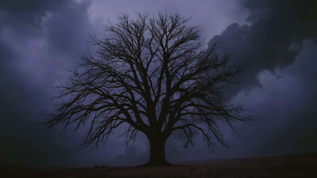 Dramatic Tree Silhouette at Twilight