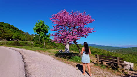 woman admires a vibrant pink flowering tree in a scenic mountain landscape