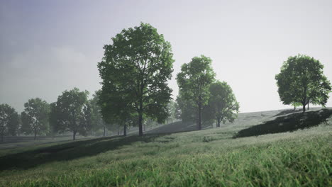 scenic landscape featuring lush green trees and a serene field in daylight