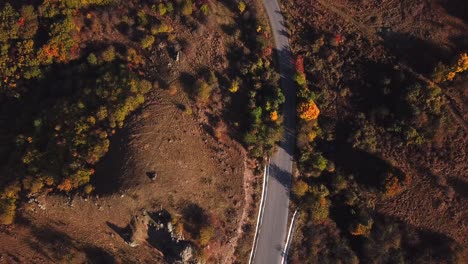 Forward-drone-shot,-top-view,-of-a-country-road-surrounded-by-autumnal-trees