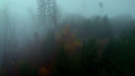 Wald-Und-Hügel-Morgens-Bei-Nebligem-Wetter