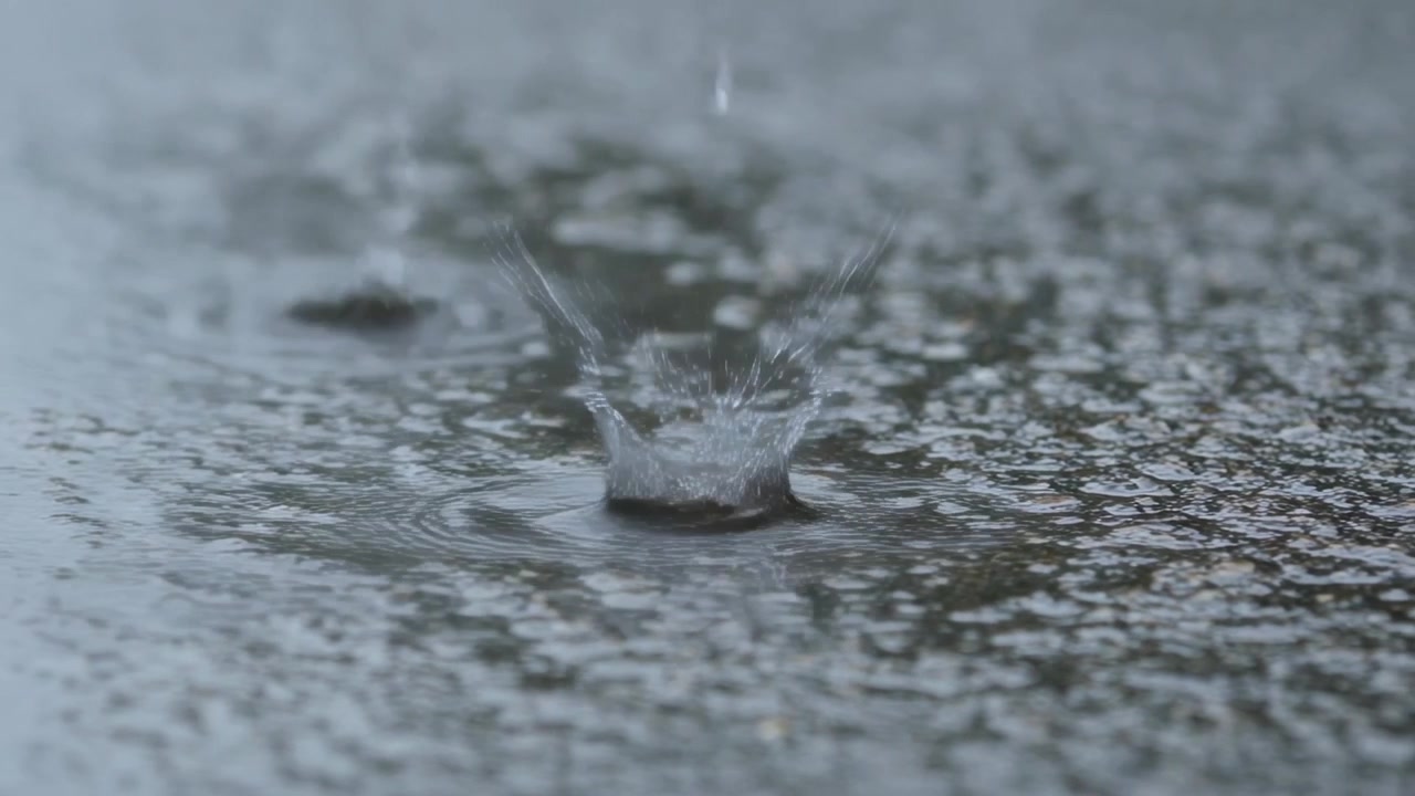 Falling raindrops from steady rain creating crown splashes and concentric ripples on shallow puddle