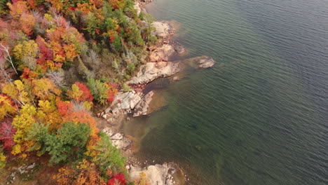 Drone-flyover-treetops-landscape-with-lake,-Tranquil-Nature-scene