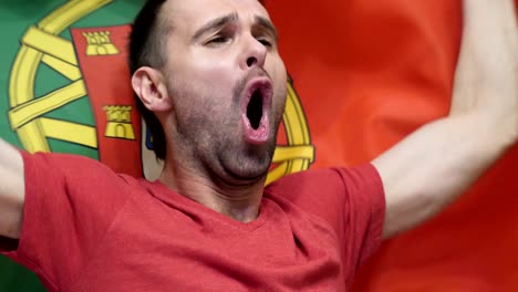 portuguese fan celebrating while holding the flag of portugal in slow motion ,4k , high quality