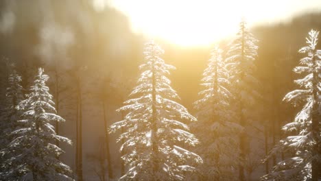 Herrliche-Weihnachtsszene-Im-Bergwald.-Bunter-Wintersonnenaufgang