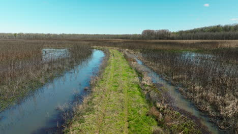 Wetlands-On-Nature-Preserve-In-Bell-Slough-State-Wildlife-Management-Area,-Arkansas,-USA