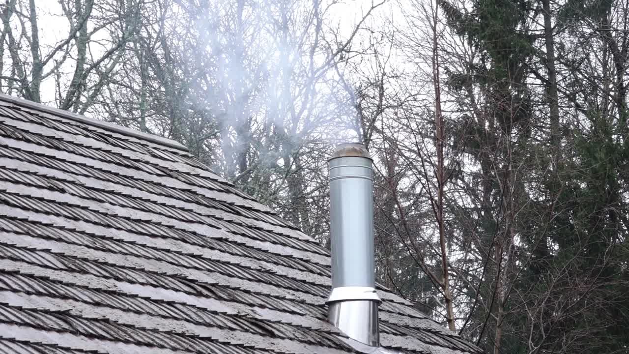 A metal chimney on a sloped roof emits smoke, indicating a burning fire inside. The background features leafless trees and evergreens, suggesting a cold season.