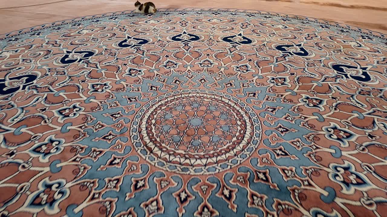 Gatto che Cammina su un Tappeto Islamico dal Motivo Ornamentale