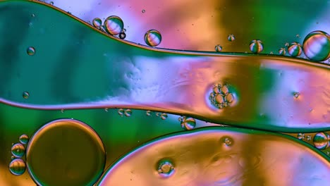 abstract colorful food oil drops bubbles and spheres flowing