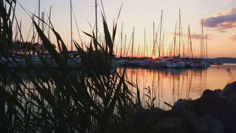 slow low angle trucking shot of sailboats in marina at sunset