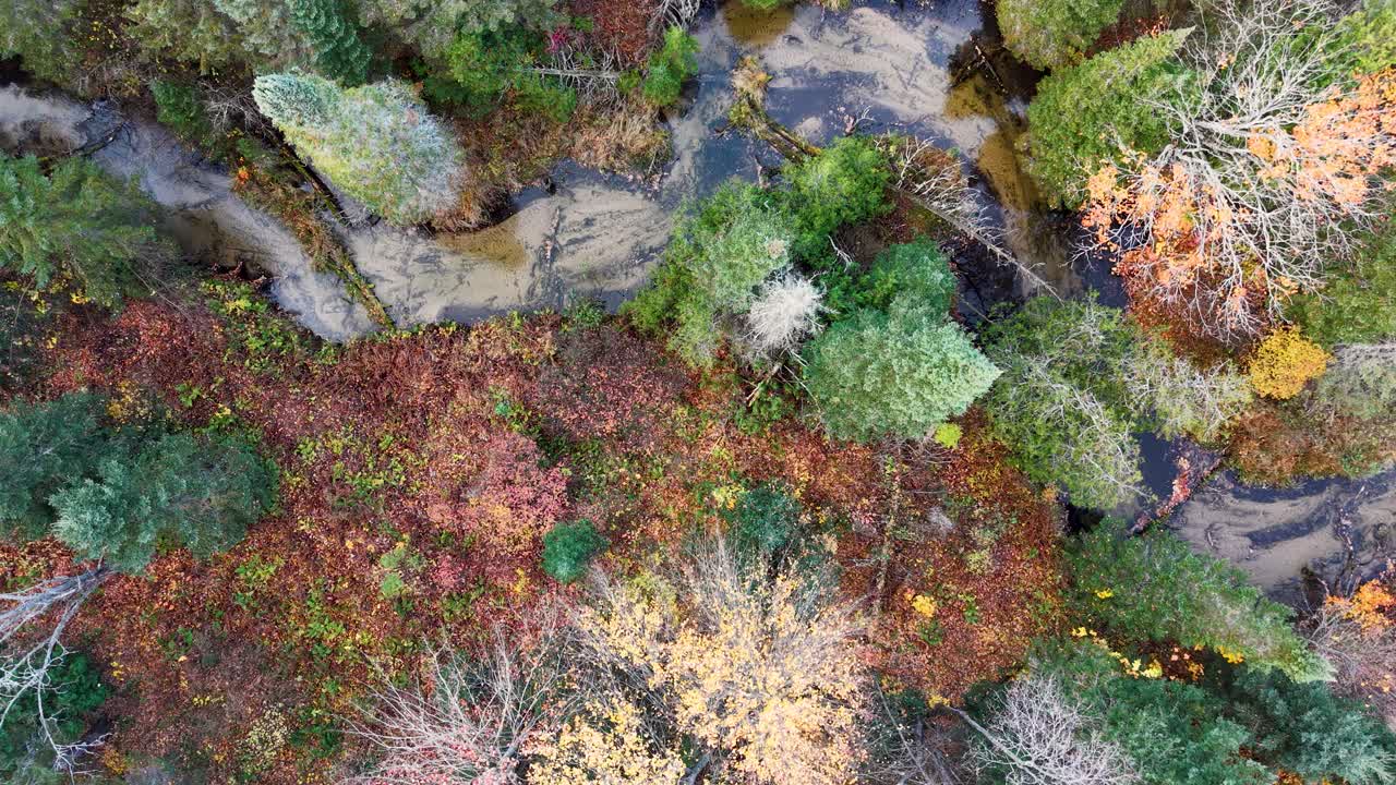 Aerial view of a rugged forested cliffside with vibrant autumn foliage and exposed rocky terrain