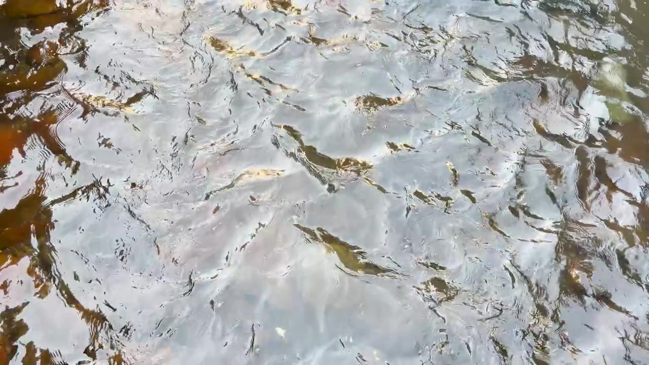 Inquadratura statica dall'alto di acqua limpida che scorre su pietre con tenui riflessi di luce naturale