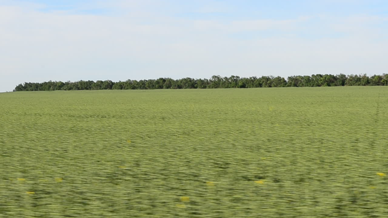 Vista del campo dal treno. Riprese in movimento.
