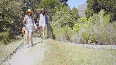 two beautiful friends on adventure trail wooden bridge looking at nature