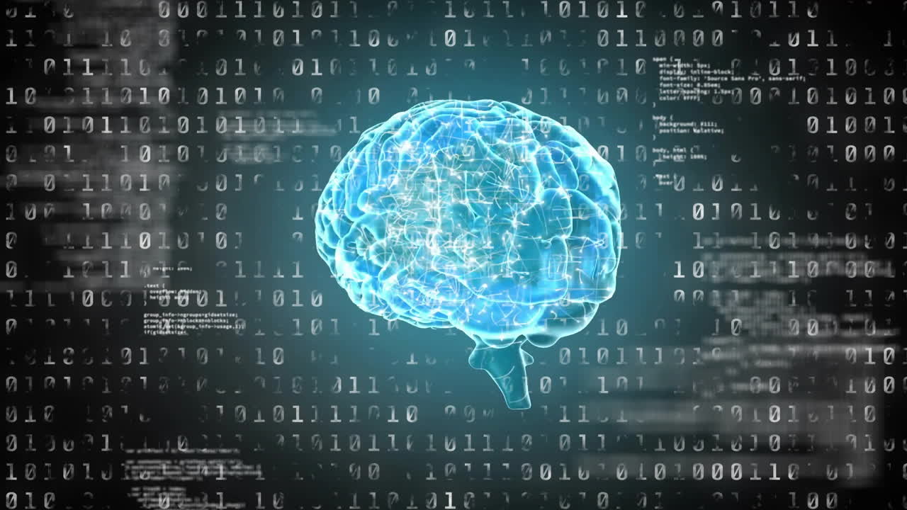 인간 뇌의 애니메이션과 이진 코딩, 과학 데이터 처리