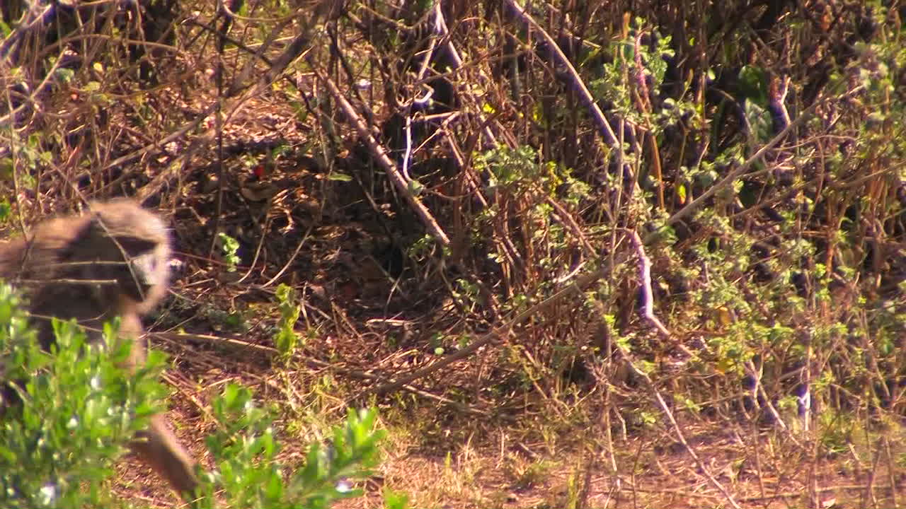 어머니는 아기를 안고 음식을 파면서 이동합니다.