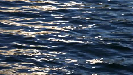 barcelona sea 04