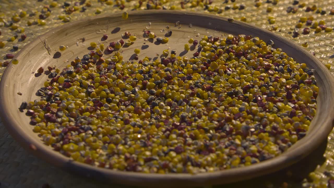 granos de maíz caídos en una placa de arcilla