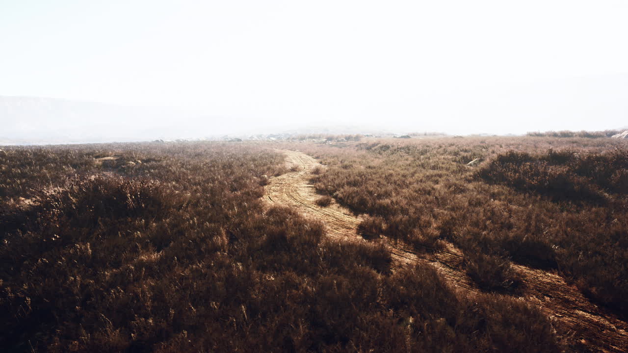 un sendero de tierra serpentea a través de un campo de hierba, que conduce hacia una montaña brumosa en la distancia.