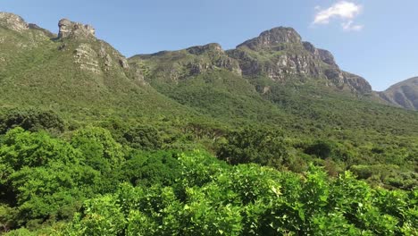 View-of-the-Kirstenbosch-botanical-gardens-against-the-backdrop-of-Table-mountain,-Cape-Town,-South-Africa