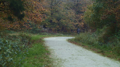 Mysterious-figure-disappears-around-bend-on-autumn-country-lane,-slow-motion