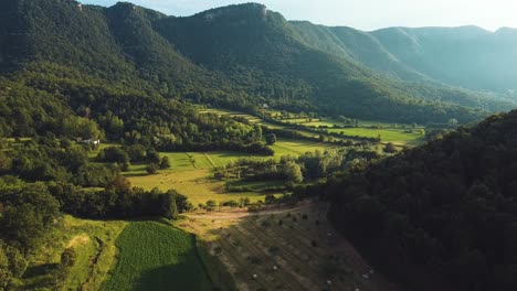 impressive aerial views of green forests between mountains, with a beautiful lake adding serenity to the tranquil beauty of the landscape