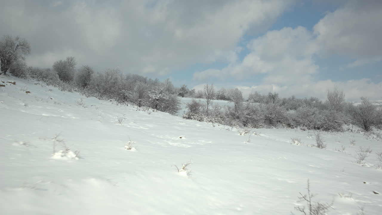 Drone eagle-eye view of untouched virgin snow blue hour in 4K, cinematic wide shot with pristine texture, perfect for VFX, title overlays for Christmas themes, holiday backdrops, and title sequence