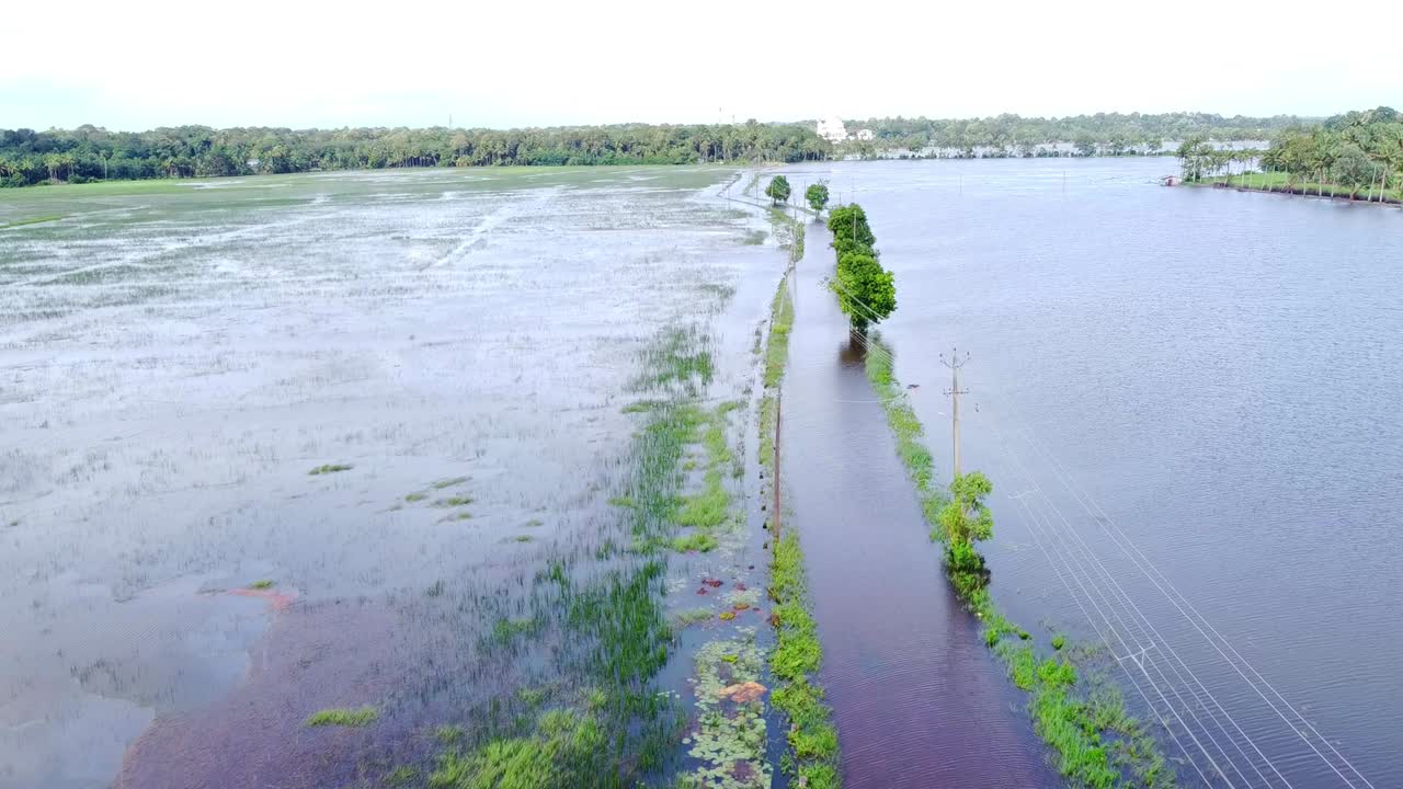 Vista aerea di una strada rurale allagata, circondata da risaie e alberi sommersi durante il monsone