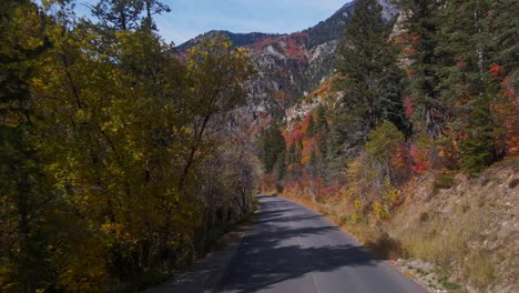 Drone-flying-low-to-empty-canyon-road-surrounded-by-forest