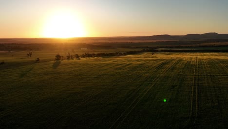 drone drifting over sunset lit fields