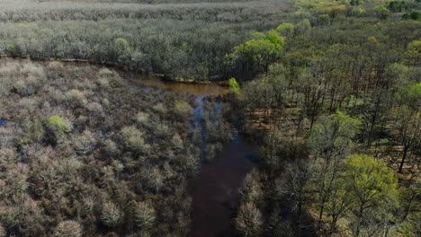 Vista-Aérea-De-Los-Humedales-En-El-área-Silvestre-De-Bell-Slough,-Arkansas,-EE.UU.---Disparo-De-Un-Dron