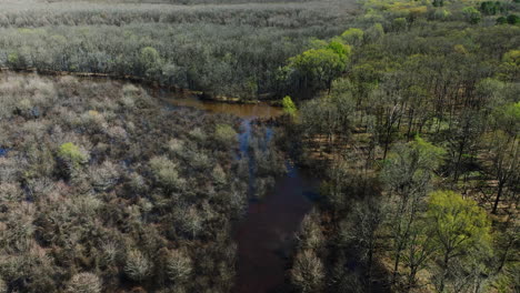 vista aérea de los humedales en el área de vida silvestre de bell slough, arkansas, ee.uu. - toma de avión no tripulado