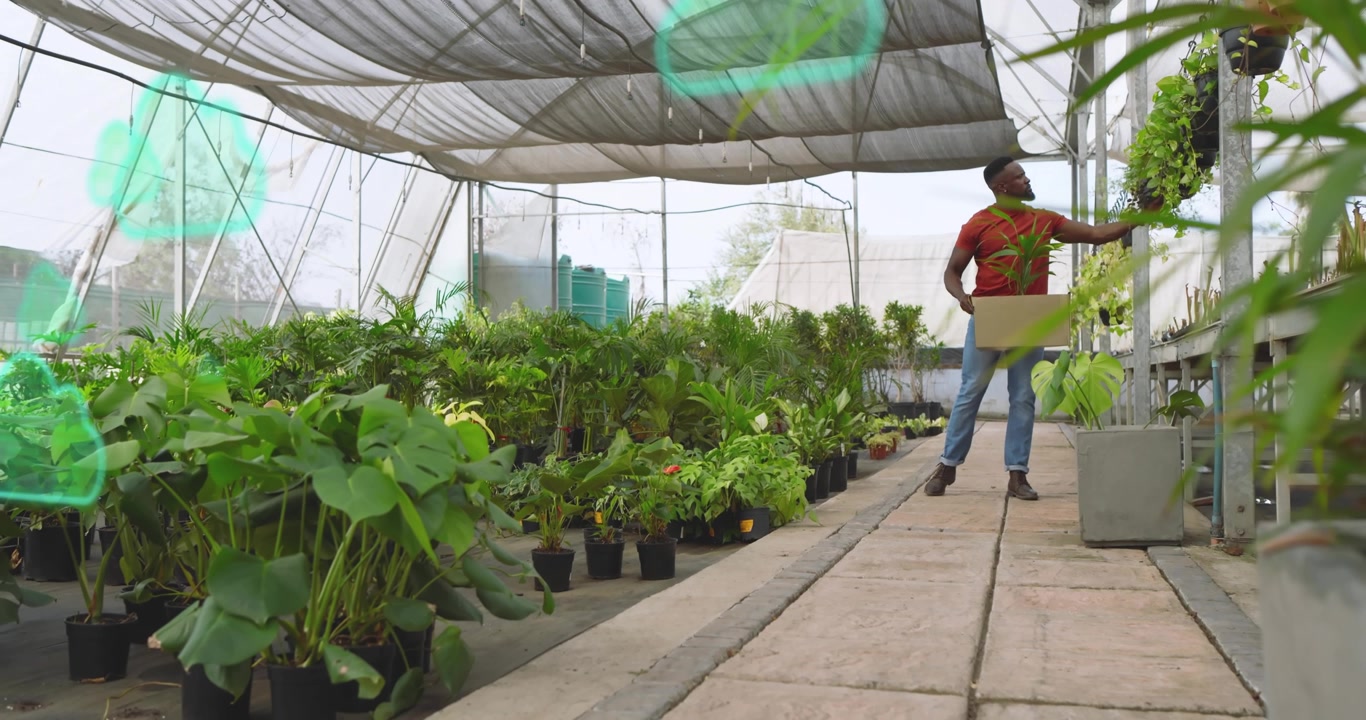 Trabajador de invernadero arrodillado revisando plantas mientras iconos de nube conectan macetas y empaca plantas en una caja.