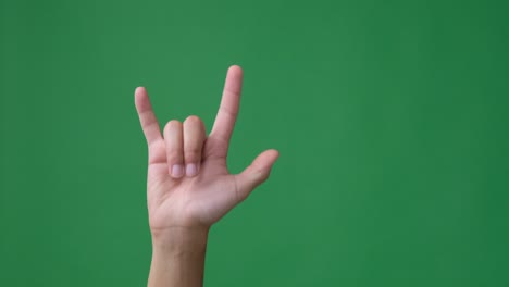 hand showing rock sign over green