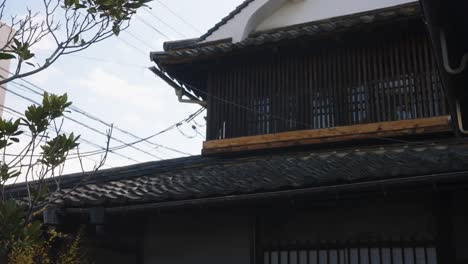 traditional rural japanese neighborhood, pan background shot