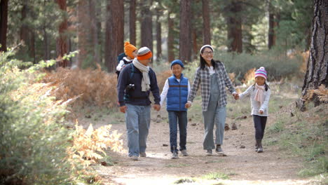 familia asiática caminando hacia la cámara en un bosque, vista delantera