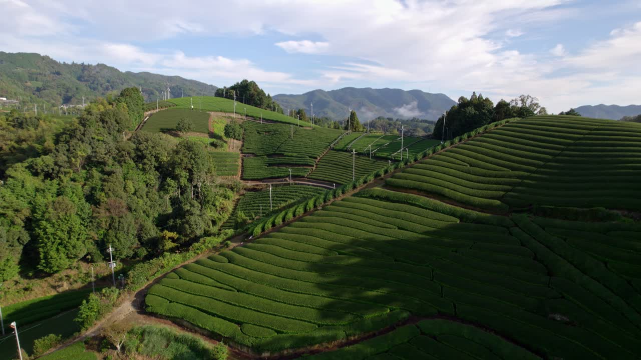 Matcha Green Field Landscape Wazuka Kyoto: Aerial Layers of Tea Terraces, Hills