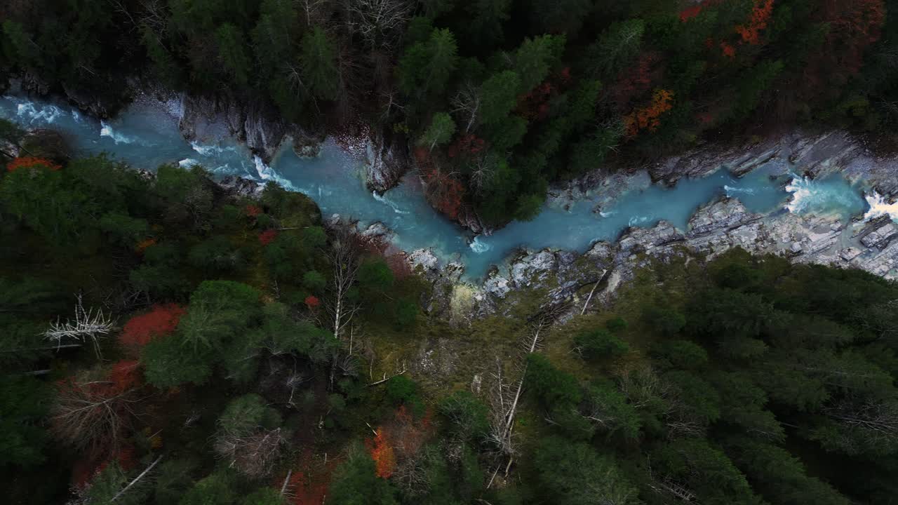 Aerial of a scenic and idyllic mountain river waterfall canyon with fresh blue water in the Bavaria Austria alps, flowing down a beautiful forest along trees near Sylvenstein Speicher and Walchensee