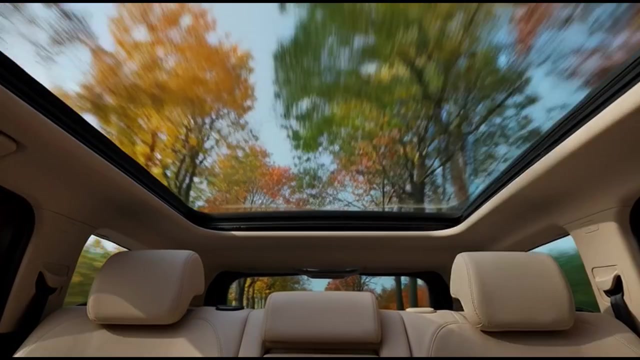 Vista a través del techo solar panorámico de un coche circulando junto a árboles otoñales.