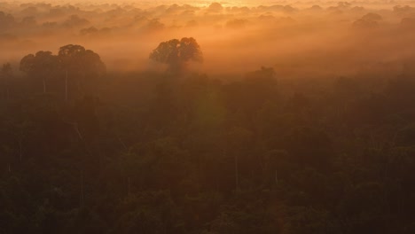 Una-Toma-Dramática-De-Niebla-Roja-Que-Cubre-Las-Copas-De-Los-árboles-De-Una-Selva-Tropical-Al-Amanecer,-Toma-Panorámica