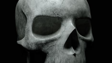 detailed image of a cracked skull