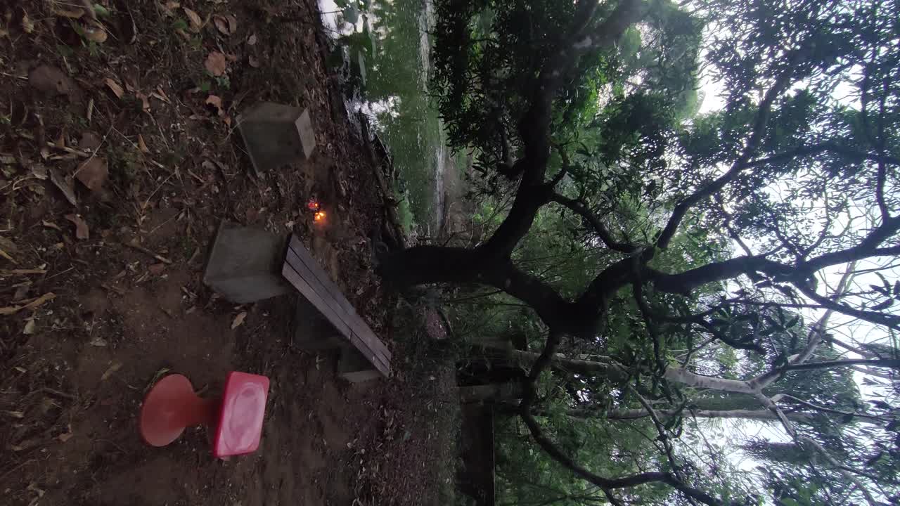 bosque lago estanque fogata malhumorado oscuro tiro vertical