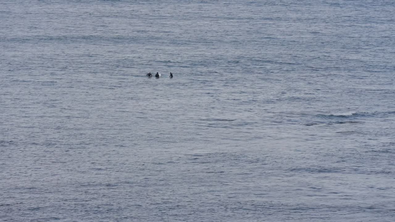 A group of surfers floats patiently on their boards in the calm ocean, waiting for the perfect wave to arrive under the golden glow of the sun.