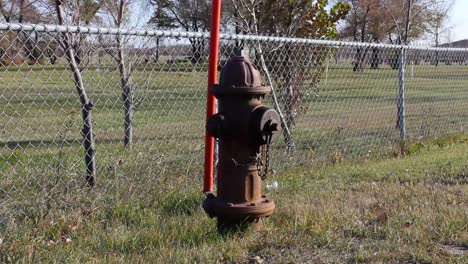 a red fire hydrant in the grass on the side of the road